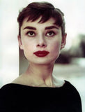 Audrey Hepburn Color Portrait poster tin sign Wall Art