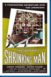 Incredible Shrinking Man The poster