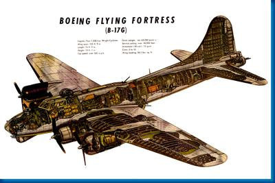 Aviation and Transportation B17G Cutaway Poster 16