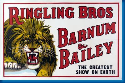 Ringling Bros. Circus Lion Metal Print 8in x 12in
