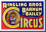 Ringling Bros. Circus Lion 11x17 Mini Poster