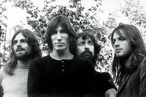 Music Pink Floyd Poster 16"x24" On Sale The Poster Depot