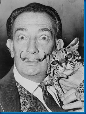 Salvador Dali Cat Bw poster for sale cheap United States USA