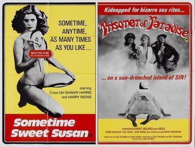 Sometime Sweet Susan Movie Poster Metal Poster Choose Style The Poster Depot