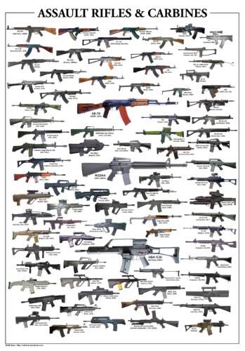 (24inx36in ) Assault Rifles Poster Print 