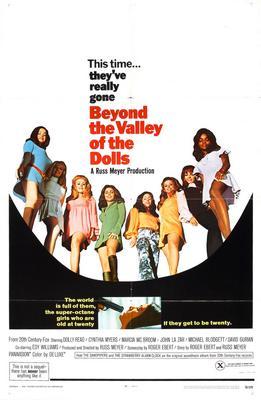 Beyond The Valley Of The Dolls Metal Movie Poster 8in x 12in