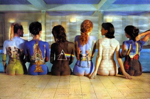 Pink Floyd Backs Poster 24inx36in 