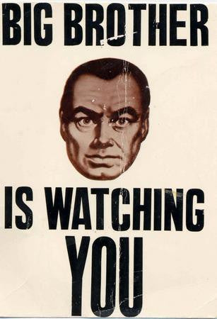 Big Brother Is Watching You poster| theposterdepot.com