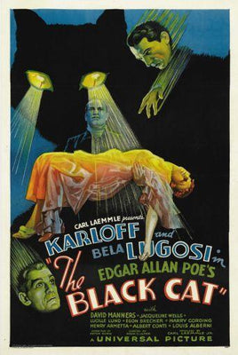 Black Cat Metal Print 8in x 12in