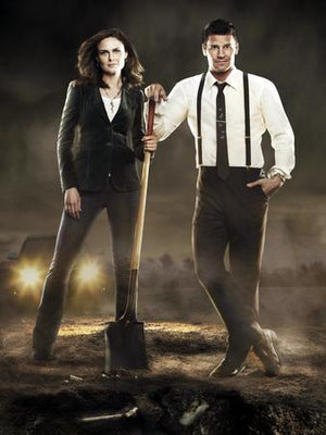 Bones Gravediggers Boreanaz Deschanel poster tin Metal Print Wall Art