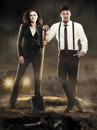 Bones Gravediggers Boreanaz Deschanel Metal Print 8in x 12in The Poster Depot