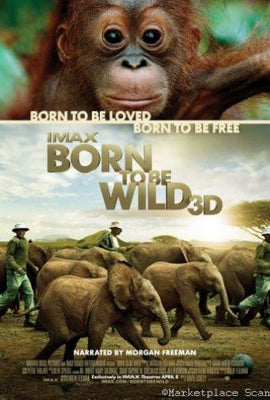 Born To Be Wild Metal Movie Poster 8in x 12in