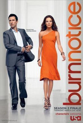 Burn Notice Poster Donovan Anwar 16x24 The Poster Depot