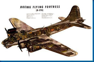 B17G Cutaway Military Aircraft Poster 16 inches x 24 inches