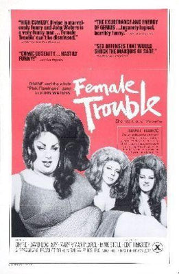 Female Trouble Poster 16inx24in 