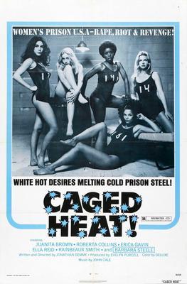 Caged Heat Womens Prison Metal Movie Poster 8in x 12in