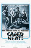 Caged Heat Womens Prison Movie Poster 11x17 Mini Poster