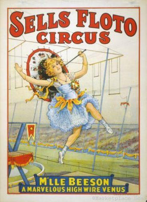 Circus Metal Print 8in x 12in