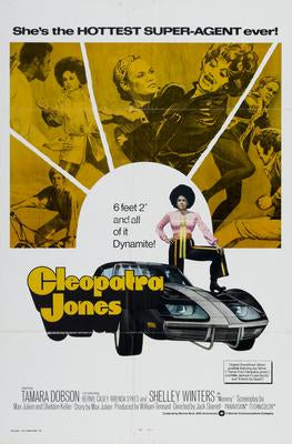 Cleopatra Jones Movie Poster 11x17 Mini Poster