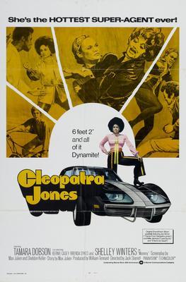Cleopatra Jones Metal Movie Poster 8in x 12in