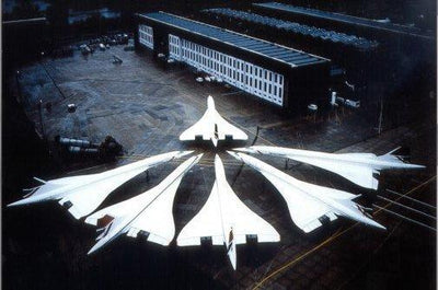 Concordes At Heathrow Metal Print 8in x 12in