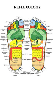 Reflexology Foot Poster 24in x 36in