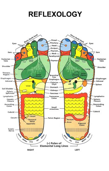 Reflexology Foot Poster 24in x 36in