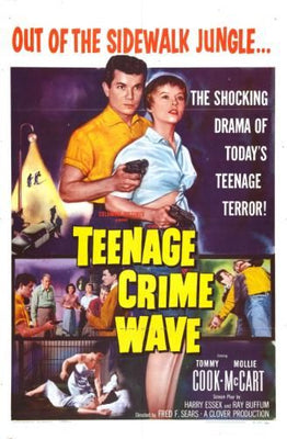 Teenage Crimewave poster 24in x 36in for sale cheap United States USA