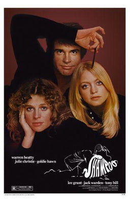 Shampoo Poster 16"x24" 