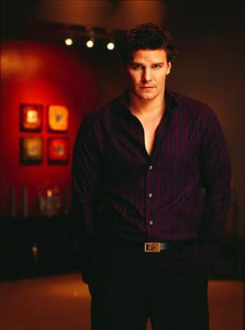 David Boreanaz poster tin sign Wall Art