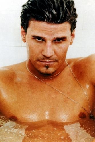 David Boreanaz Poster 11x17 Mini Poster