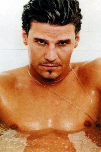 David Boreanaz Photo Sign 8in x 12in