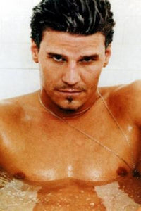 David Boreanaz Poster 11x17 Mini Poster