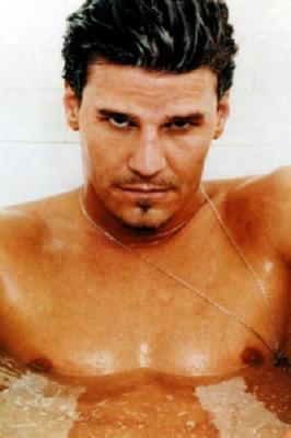 David Boreanaz poster tin sign Wall Art