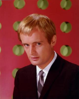 David Mccallum poster tin sign Wall Art