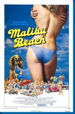 Malibu Beach Poster On Sale United States