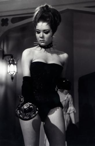 Diana Rigg Poster 11x17 Mini Poster
