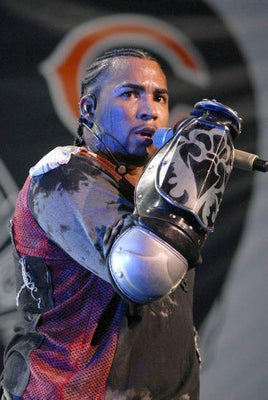 Donomar Metal Print 8in x 12in