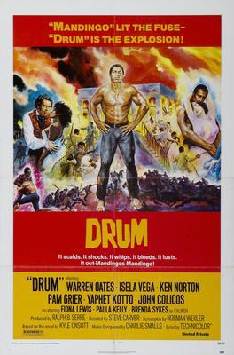Drum Metal Movie Poster 8in x 12in
