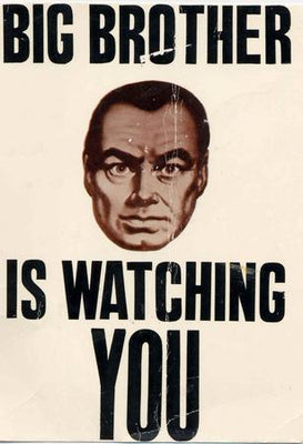 Big Brother is Watching You Poster 27"x40" The Poster Depot