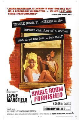 Single Room Furnished poster 16inx24in 