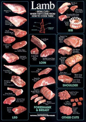Lamb Cuts Cuts Of Meat Chart poster 24inx36in Poster