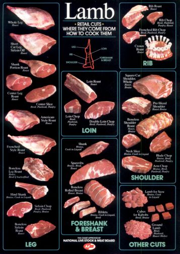 Lamb Cuts Cuts Of Meat Chart poster 24inx36in Poster