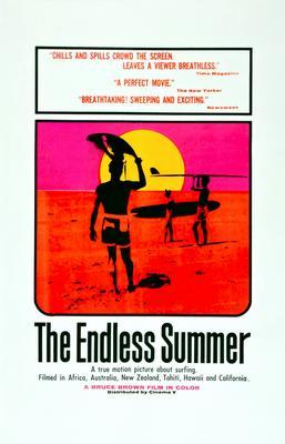 Endless Summer Metal Movie Poster 8in x 12in The Poster Depot