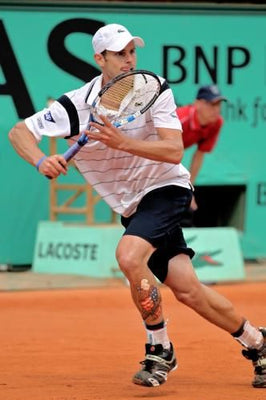 Andy Roddick Poster 24in x 36in The Poster Depot