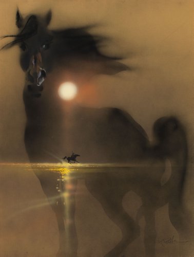 (24inx36in ) Black Stallion poster