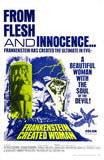 Frankenstein Created Woman poster 11x17 The Poster Depot