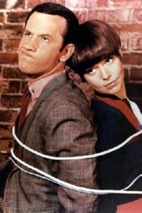 Get Smart poster 24in x 36in for sale cheap United States USA