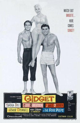 Gidget Metal Print 8in x 12in