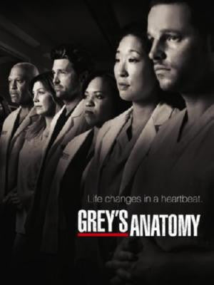 Greys Anatomy Poster 11x17 Mini Poster